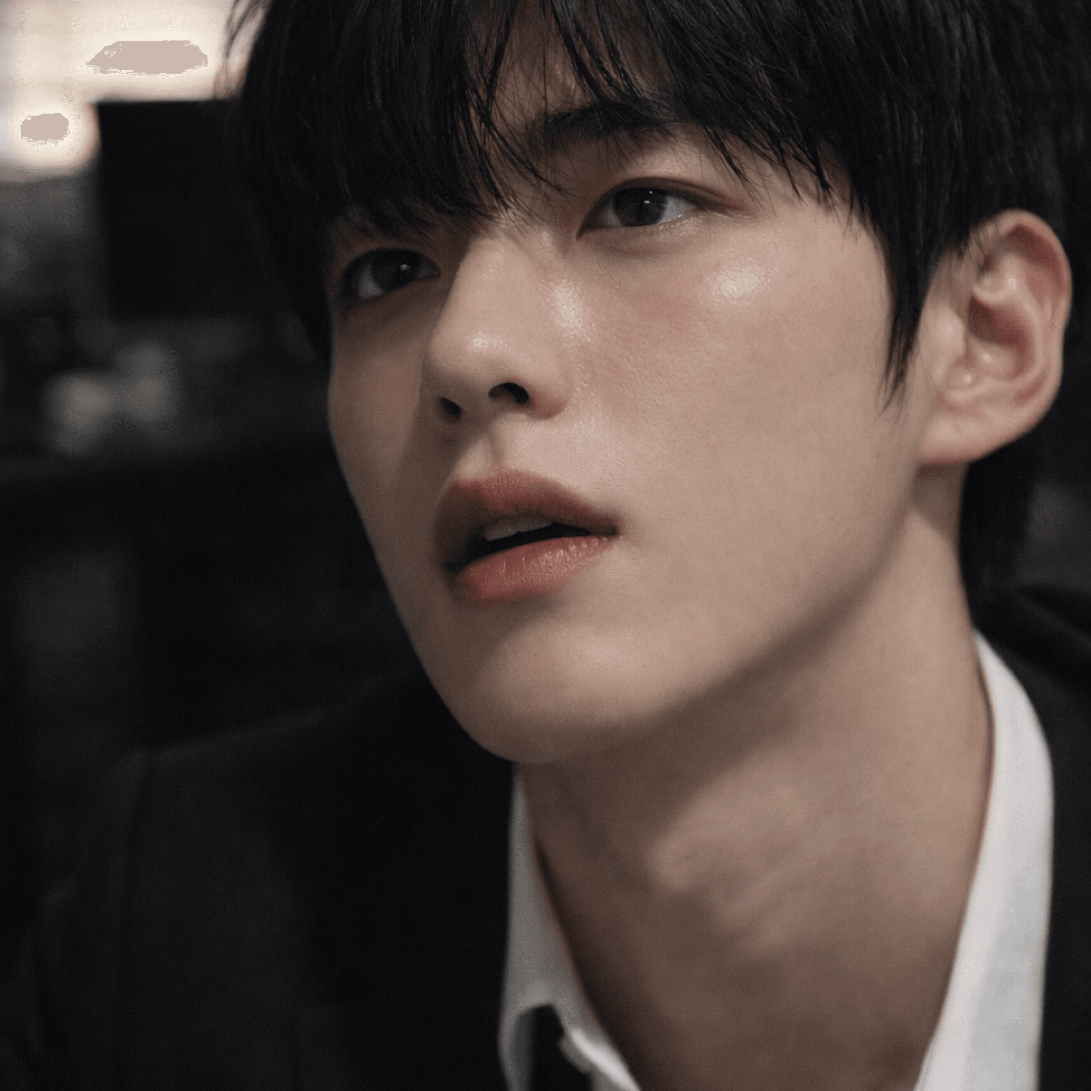 정이한